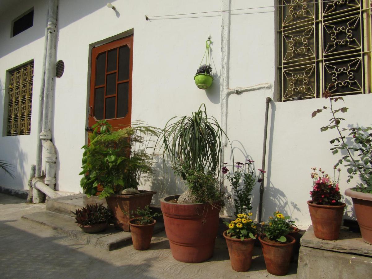 Nadya Homestay For Female & Family Jaipur Eksteriør billede